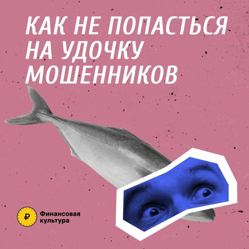 12345ГУ МВД России по Запорожской области информирует: 12345ГУ МВД России по Запорожской области информирует: