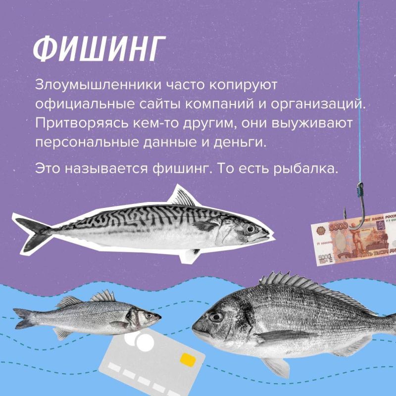 12345ГУ МВД России по Запорожской области информирует: 12345ГУ МВД России по Запорожской области информирует: