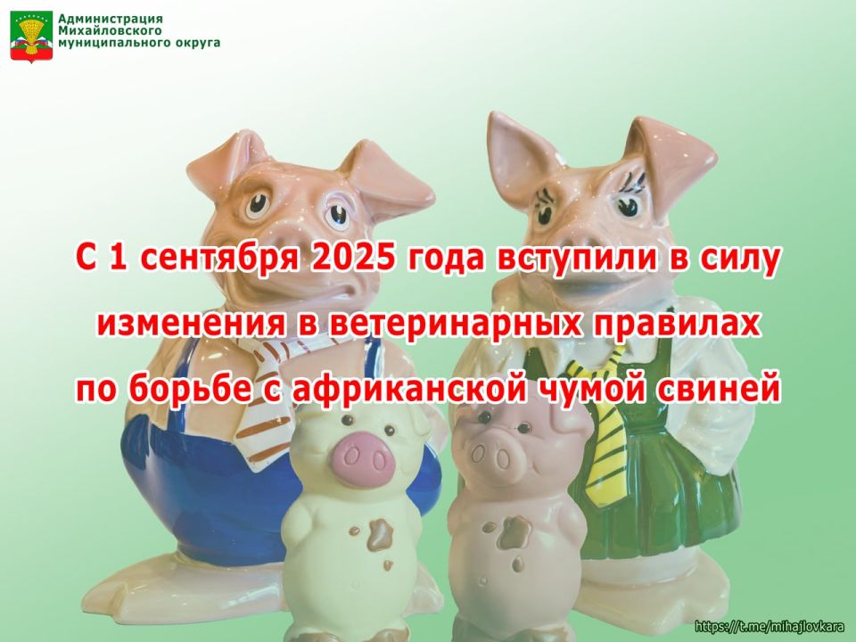 Администрация Михайловского округа сообщает о новых ветеринарных правилах по борьбе с АЧС