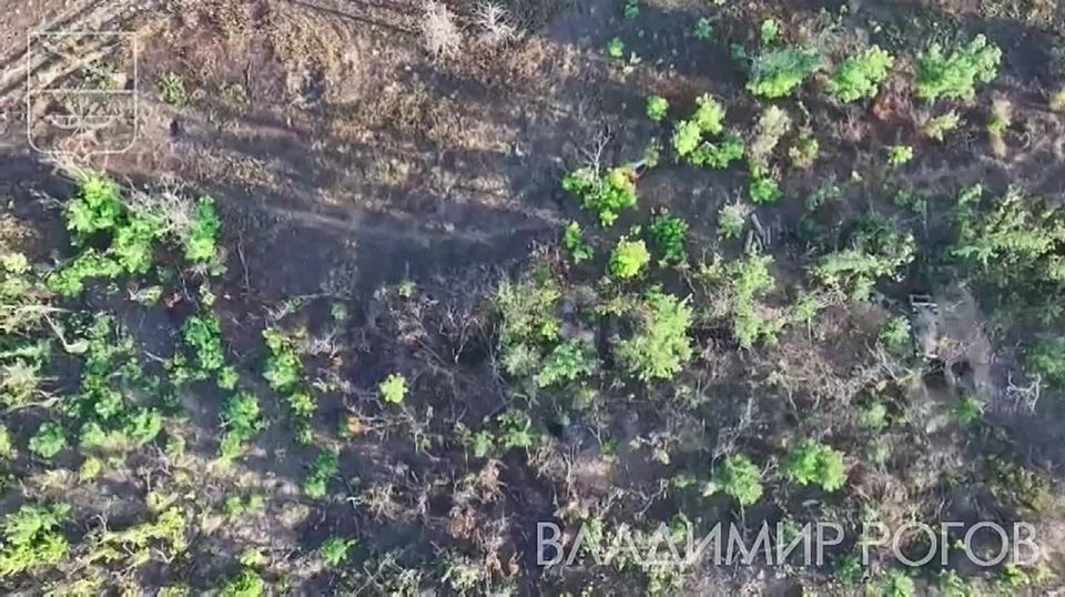 Владимир Рогов: Каждый удар - точно в цель!