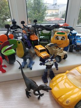 Жители Карелии продолжают приносить игрушки и книги для детей подшефной Васильевки