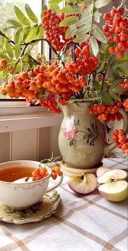 Хорошего начала дня вам!