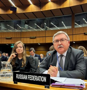 «Замалчивание МАГАТЭ подталкивает Киев к преступлениям против ЗАЭС»