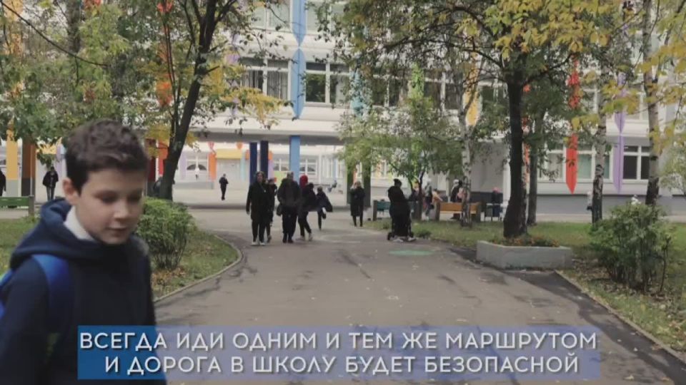 Безопасная дорога в школу и домой