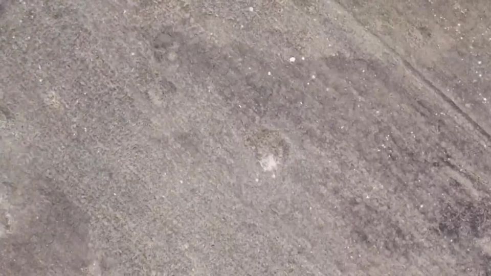  :  FPV-  