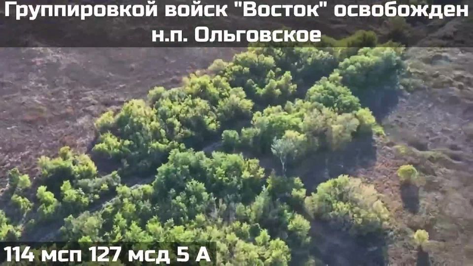 Бойцами группировки "Восток" освобождено Ольговское Запорожской области