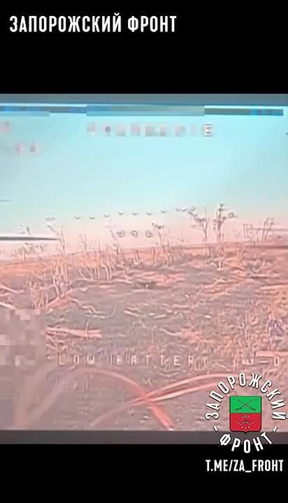  :   &quot;&quot;  3-     291- ,     