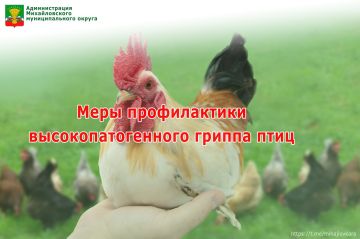 Администрация Михайловского округа предупреждает о необходимости соблюдения мер профилактики высокопатогенного гриппа птиц