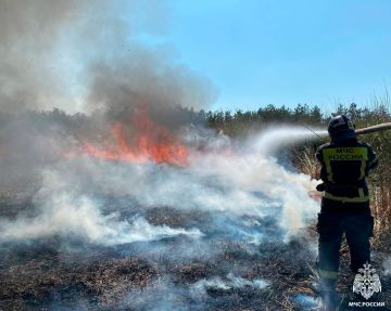 Оперативная информация за сутки