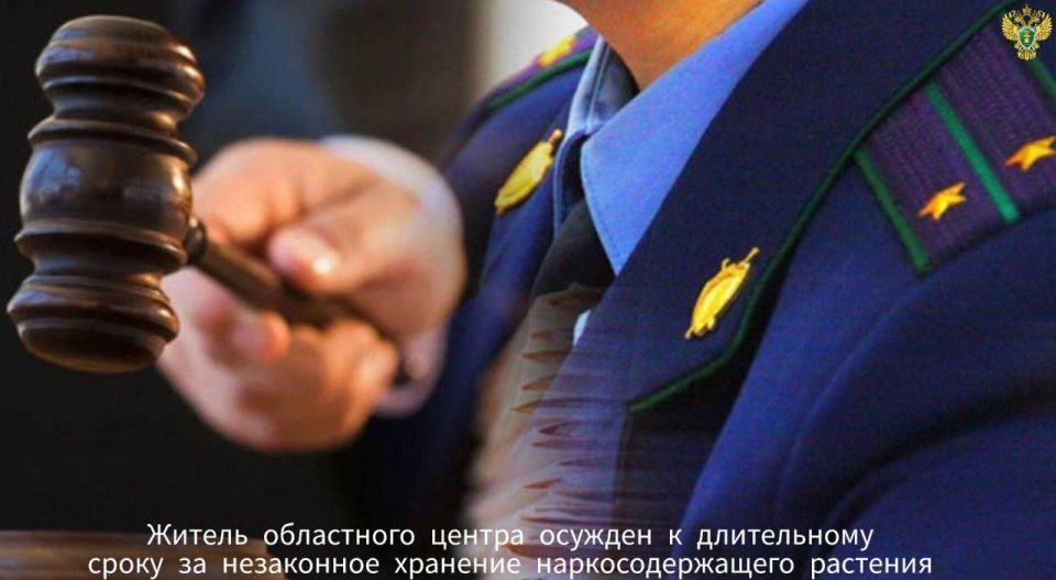 Житель областного центра осужден к длительному сроку за незаконное хранение наркосодержащего растения