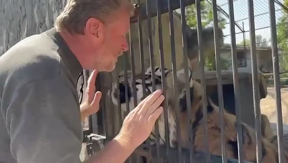 Коллеги, друзья, единомышленники!