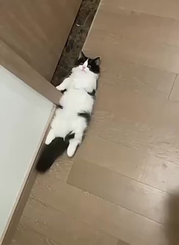 В ожидании выходных. Просто каждый из нас сегодня утром