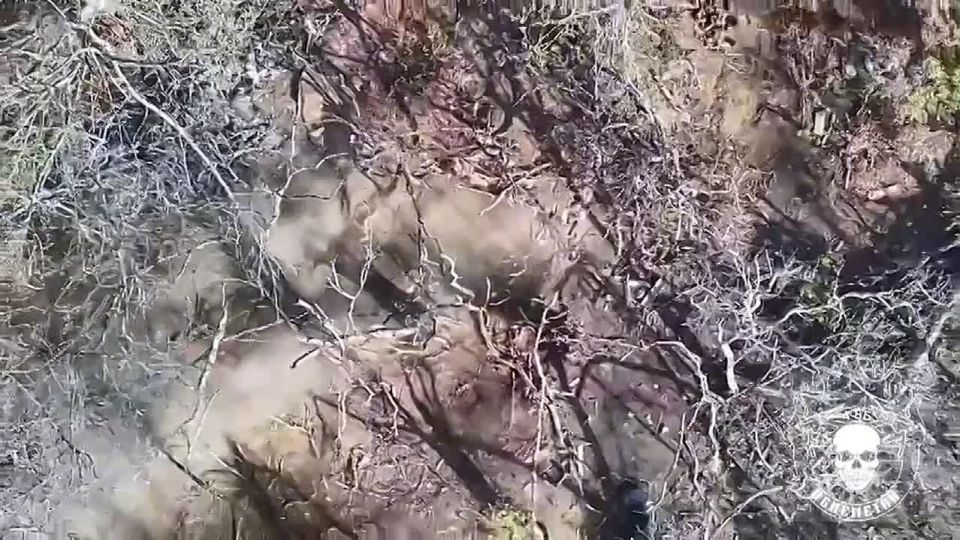 «Финик» и «Дантист» эффективно уничтожают живую силу и позиции ВСУ под Ореховом