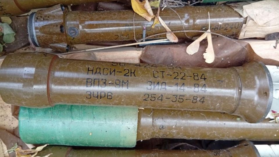 В Запорожской области полицейские выявили тайник с минами, гранатами и пороховыми зарядами