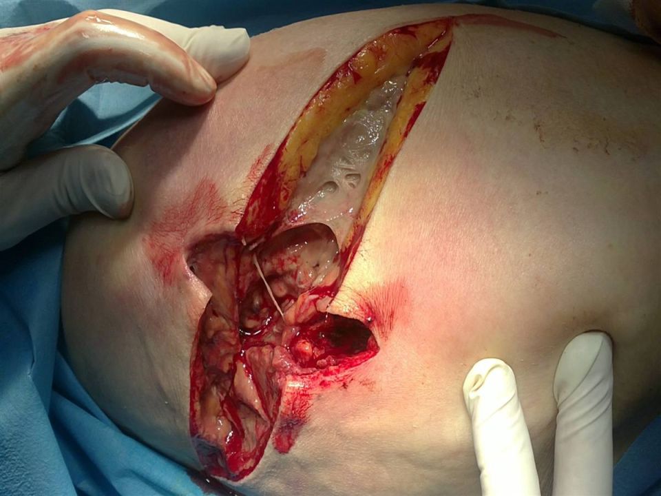 Еженедельная авторская колонка;