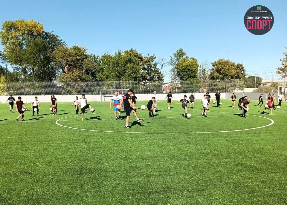 24        :       ,  80-     