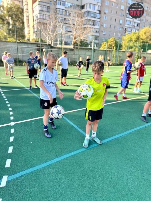 24        :       ,  80-     