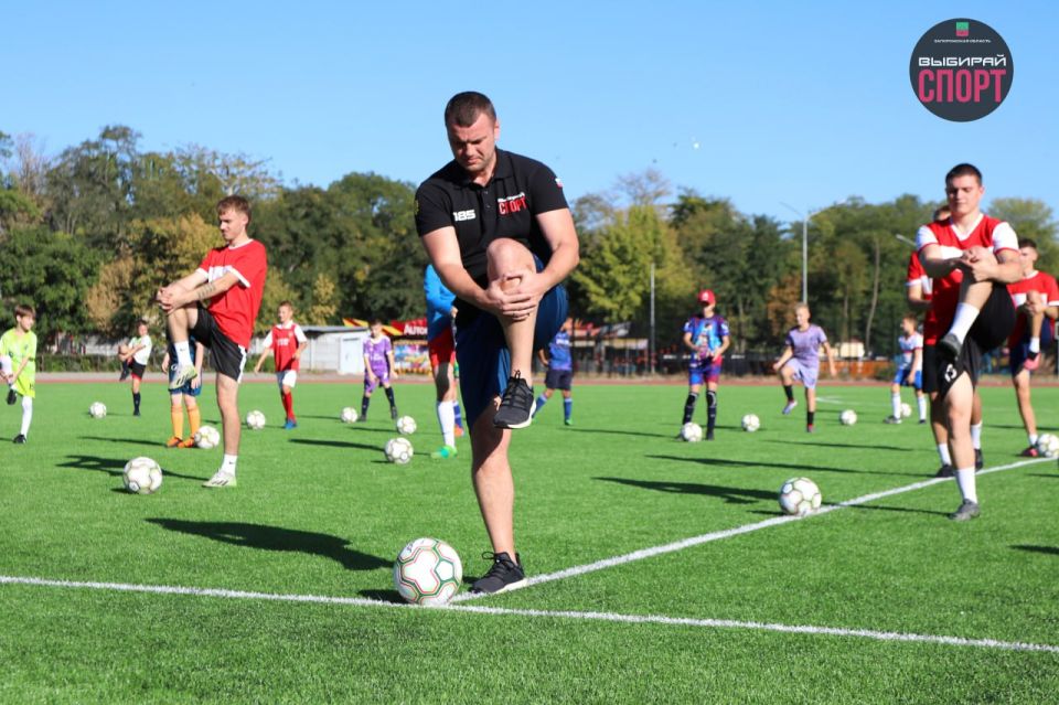 24        :       ,  80-     