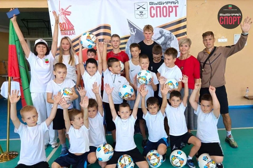 24        :       ,  80-     