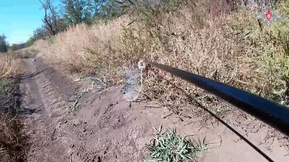 Минобороны России: Саперы Новороссийского гвардейского горного соединения ВДВ уничтожают взрывоопасные предметы в Запорожской области