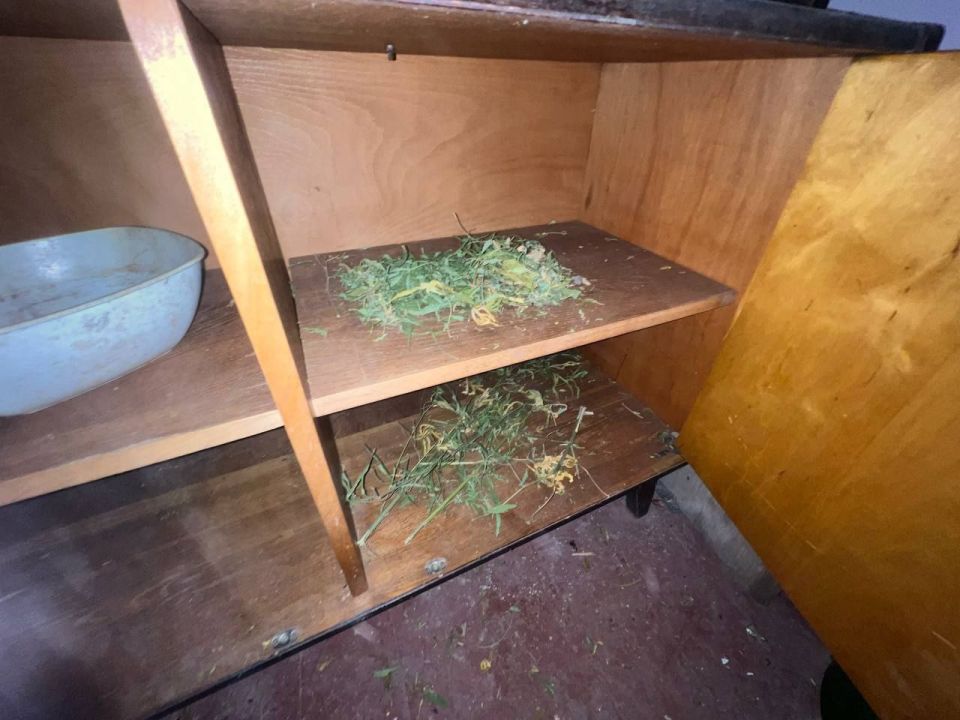 Мелитопольские полицейские изъяли у местного жителя наркотические вещества