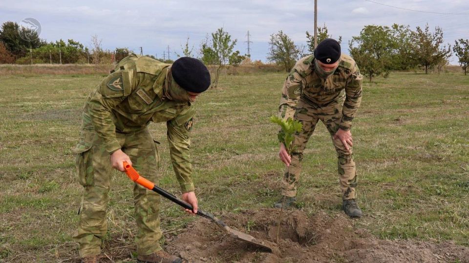 Алёна Трокай: Аллея Единства: традиция, которая будет расти вместе с нами Алёна Трокай: Аллея Единства: традиция, которая будет расти вместе с нами