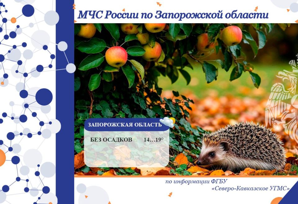 С 02 на 03 октября на территории региона ожидается: