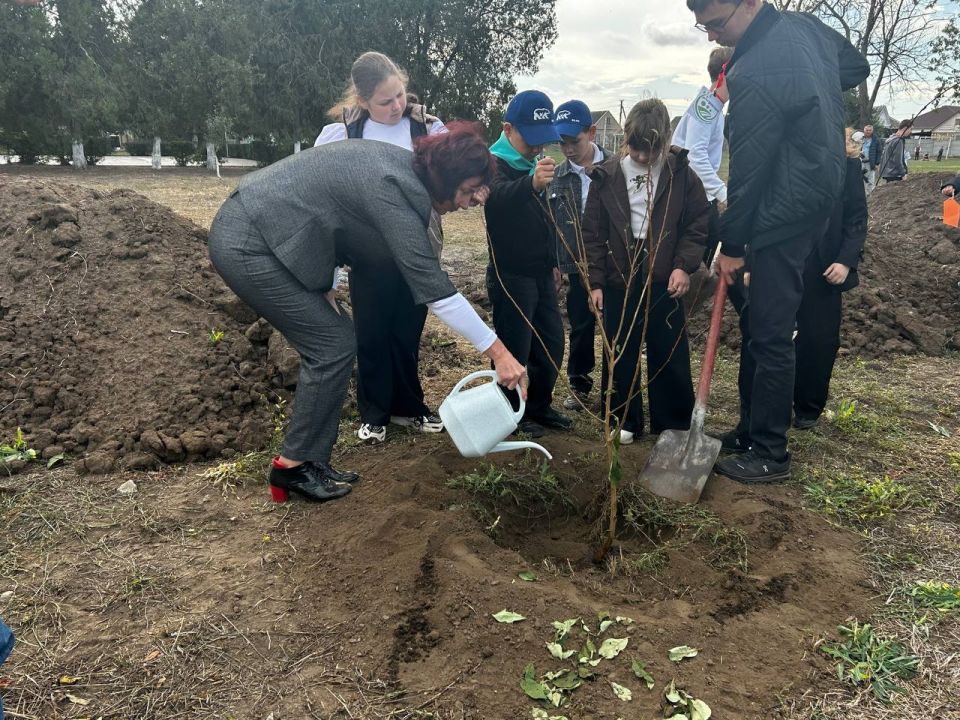 В селе Вознесенка высадили деревья ко Дню учителя В селе Вознесенка высадили деревья ко Дню учителя