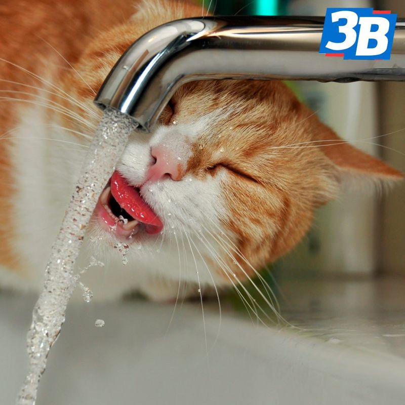 В Бердянске возможно снижение давления воды и отключения до 1 ноября