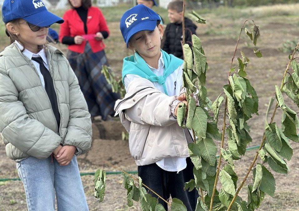 В селе Вознесенка высадили деревья ко Дню учителя В селе Вознесенка высадили деревья ко Дню учителя