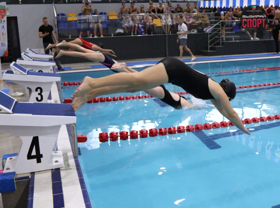 Юные пловцы Запорожской и Херсонской областей встретились на турнире в Мелитополе Юные пловцы Запорожской и Херсонской областей встретились на турнире в Мелитополе
