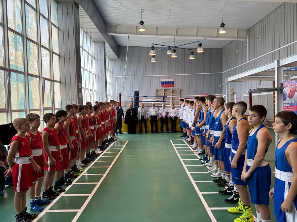 3  2025             , ,      