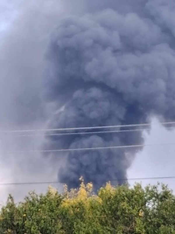 ������ ����������: � ��� ��� ���� "���� �� �������� �������" �� ������ �����