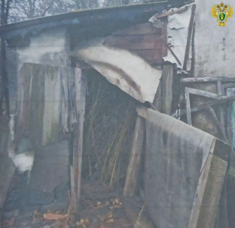 9 килограммов конопли и продажа наркотиков: житель Черниговского района получил реальный срок 9 килограммов конопли и продажа наркотиков: житель Черниговского района получил реальный срок