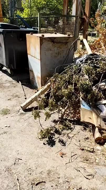 Специалисты территориального управления «Бердянск» НО «ФКР МКД ЗО» провели работу по ликвидации стихийных свалок