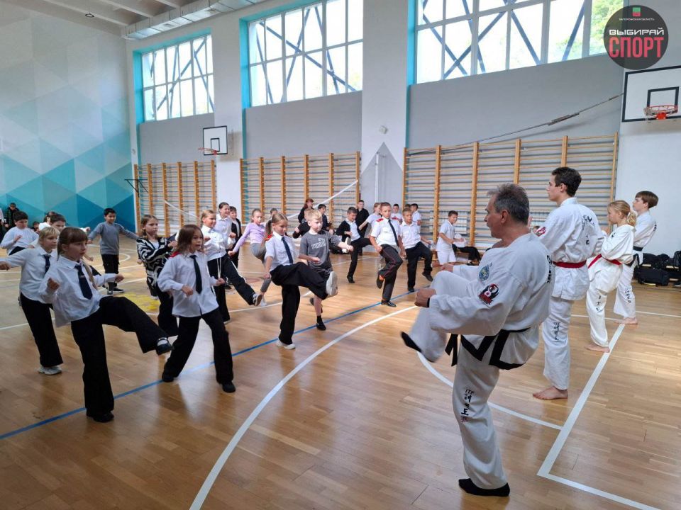 Мастер-класс по тхэквондо ИТФ прошел в СОШ №15 в Мелитополе Мастер-класс по тхэквондо ИТФ прошел в СОШ №15 в Мелитополе