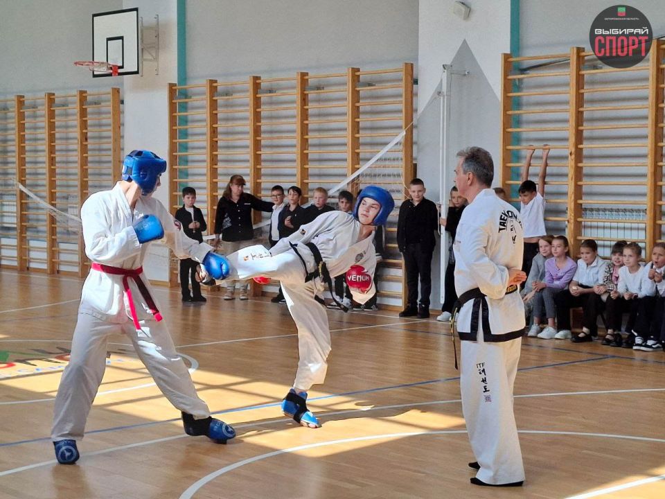 Мастер-класс по тхэквондо ИТФ прошел в СОШ №15 в Мелитополе Мастер-класс по тхэквондо ИТФ прошел в СОШ №15 в Мелитополе