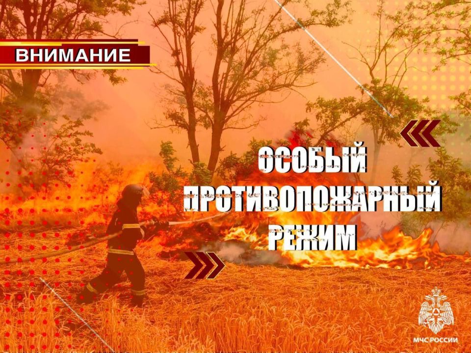 До 15 октября 2025 года на территории Запорожской области действует особый противопожарный режим