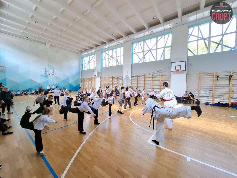 Мастер-класс по тхэквондо ИТФ прошел в СОШ №15 в Мелитополе Мастер-класс по тхэквондо ИТФ прошел в СОШ №15 в Мелитополе