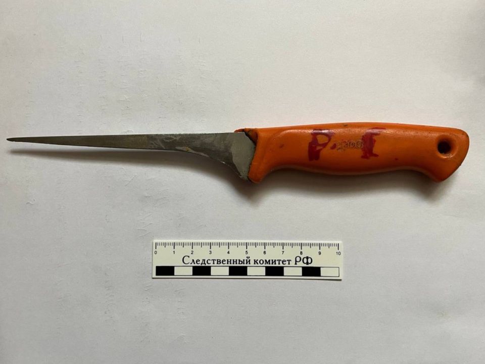 В Черниговском районе задержана женщина, подозреваемая в покушении на убийство знакомого