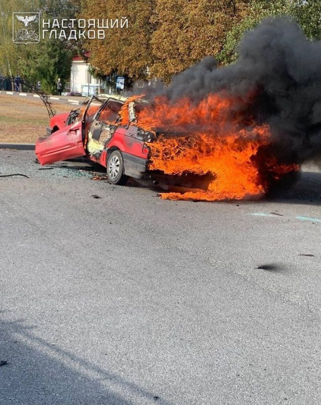 ���� ����: ���������� ��� ����� ���������� 53 ���������� ����: 28 � ��� ������������, 11� ��� �����������, 6 � ��� ����������, �� 2 � ��� �������� � �������, �� 1 � ��� ��������, ����������, ���������� � �������������