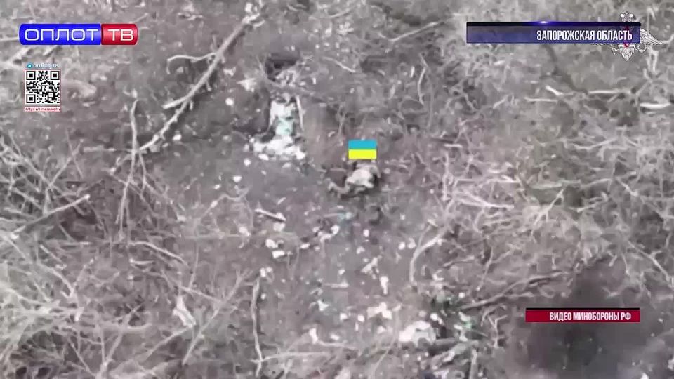 8 октября в Министерстве обороны России заявили об освобождении ещё одного населённого пункта