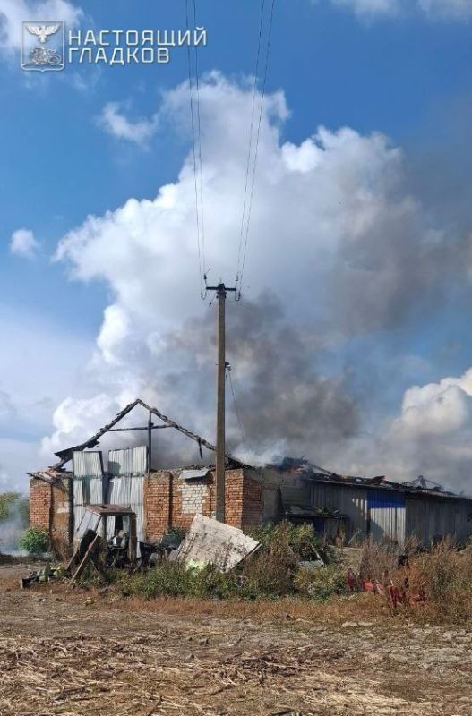 ���� ����: ���������� ��� ����� ���������� 53 ���������� ����: 28 � ��� ������������, 11� ��� �����������, 6 � ��� ����������, �� 2 � ��� �������� � �������, �� 1 � ��� ��������, ����������, ���������� � �������������