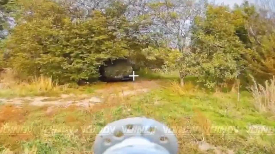 Гуляйпольский район Запорожской области