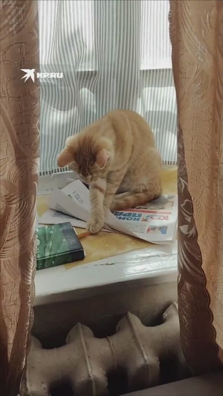 В Запорожской области обнаружен наш самый милый читатель