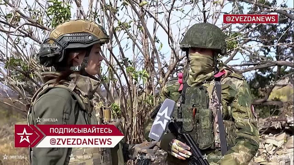 Как поймать боевика? Нужно бросить камень