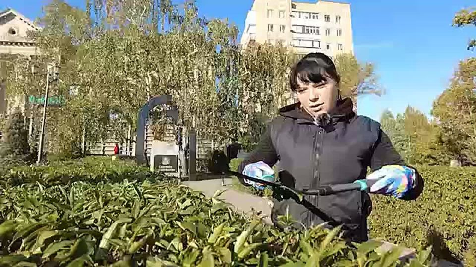 На клумбах возле памятника Ликвидаторам аварии на Чернобыльской АЭС в Мелитополе высадили цветы