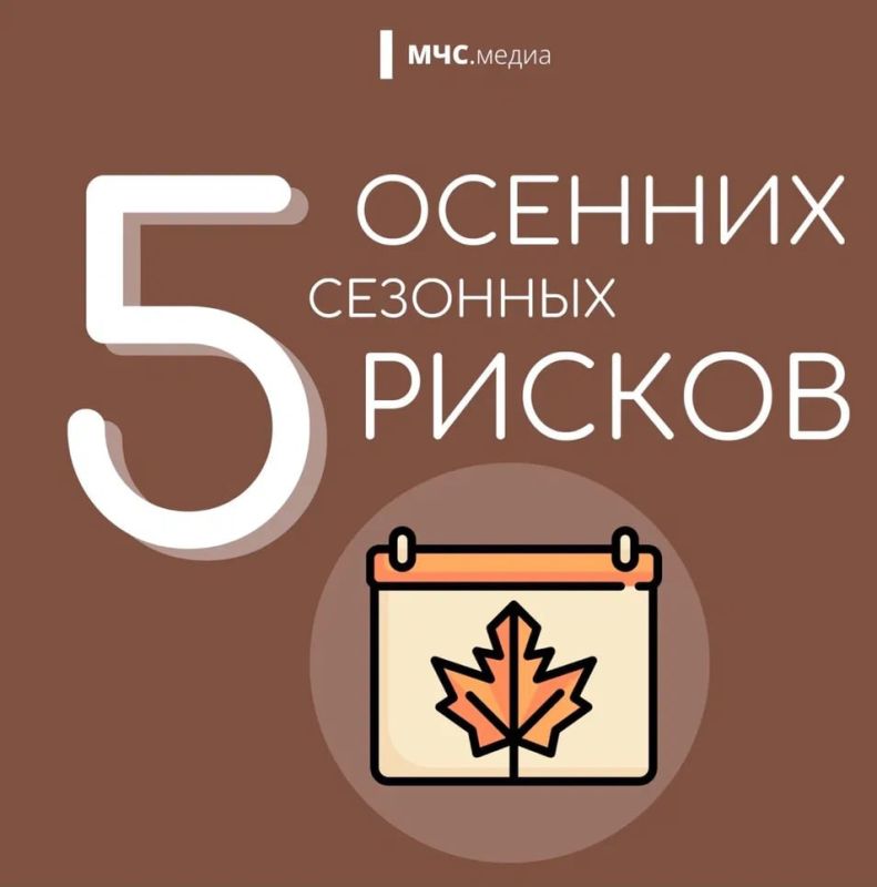 5 ключевых осенних рисков. Смотри, читай, запоминай важную информацию в карточках МЧС.Медиа МЧС Запорожской области|