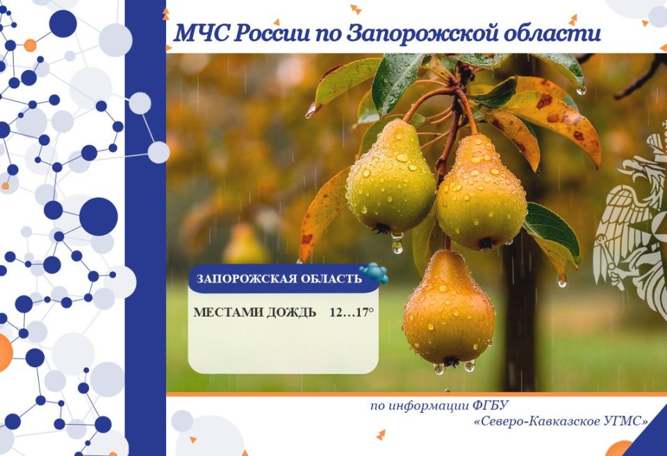 С 10 на 11 октября на территории региона ожидается: