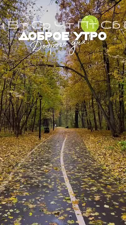 Пусть выходные станут источником новых идей и ярких впечатлений!